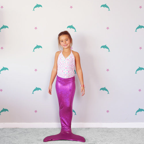 Mini Dolphins
