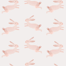 Load image into Gallery viewer, Rabbits